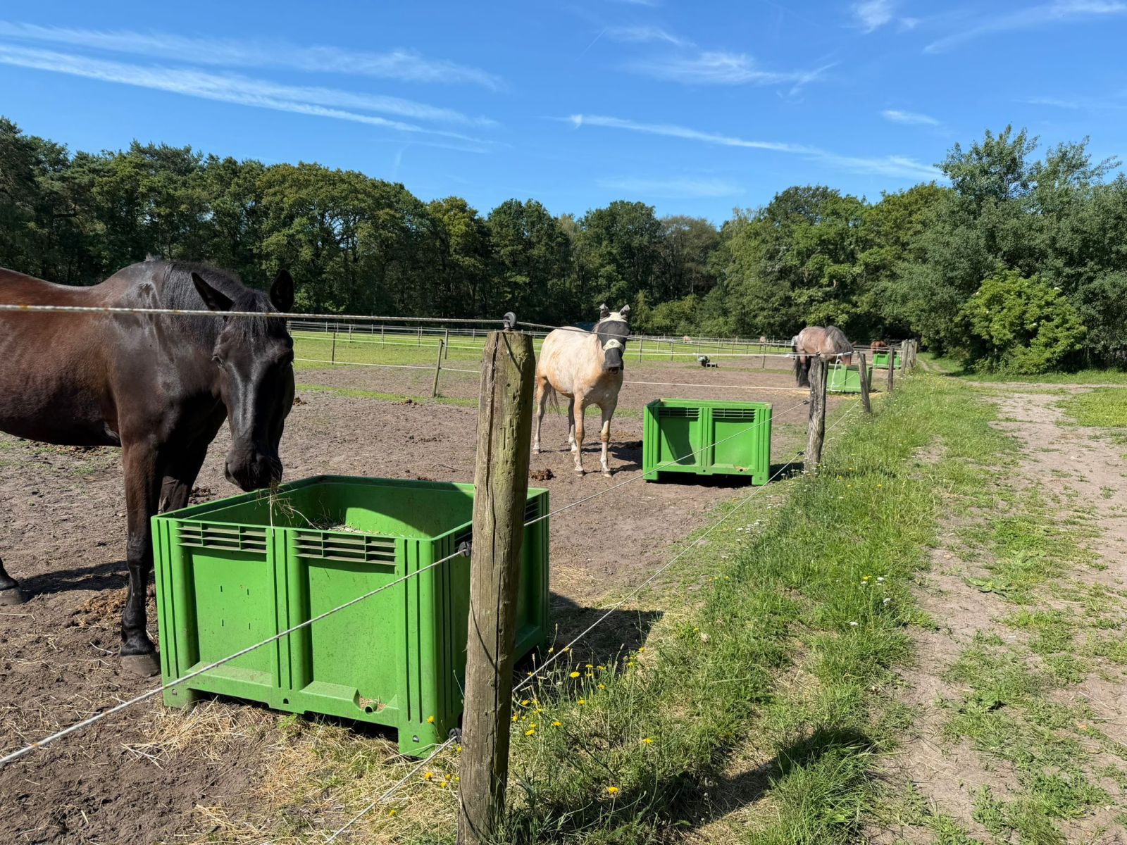 Slowfeeder Grün XXL (1 m³) - Fotos 4